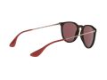 Ray-Ban Erika Sonnenbrille RB 4171 6391/75