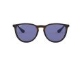 Ray-Ban Erika Sonnenbrille RB 4171 6392/76
