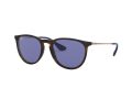 Ray-Ban Erika Sonnenbrille RB 4171 6392/76