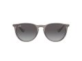 Ray-Ban Erika Sonnenbrille RB 4171 6513/8G