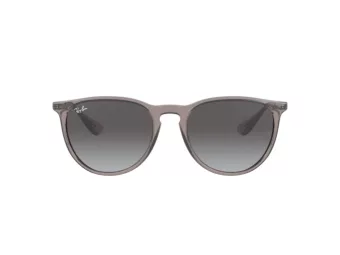 Ray-Ban Erika Sonnenbrille RB 4171 6513/8G