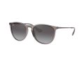 Ray-Ban Erika Sonnenbrille RB 4171 6513/8G