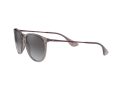 Ray-Ban Erika Sonnenbrille RB 4171 6513/8G