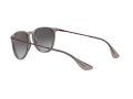 Ray-Ban Erika Sonnenbrille RB 4171 6513/8G