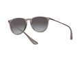 Ray-Ban Erika Sonnenbrille RB 4171 6513/8G