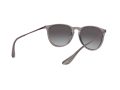 Ray-Ban Erika Sonnenbrille RB 4171 6513/8G