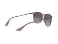 Ray-Ban Erika Sonnenbrille RB 4171 6513/8G