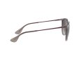 Ray-Ban Erika Sonnenbrille RB 4171 6513/8G