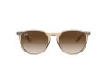 Ray-Ban Erika Sonnenbrille RB 4171 6514/13