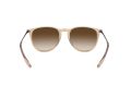 Ray-Ban Erika Sonnenbrille RB 4171 6514/13