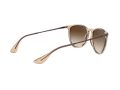 Ray-Ban Erika Sonnenbrille RB 4171 6514/13