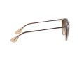 Ray-Ban Erika Sonnenbrille RB 4171 6514/13
