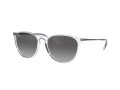 Ray-Ban Erika Sonnenbrille RB 4171 651611