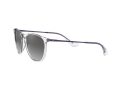 Ray-Ban Erika Sonnenbrille RB 4171 651611