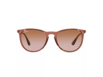 Ray-Ban Erika Sonnenbrille RB 4171 659013