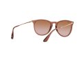 Ray-Ban Erika Sonnenbrille RB 4171 6590/13