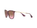 Ray-Ban Erika Sonnenbrille RB 4171 6591/14