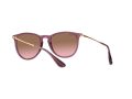 Ray-Ban Erika Sonnenbrille RB 4171 6591/14