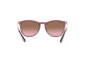 Ray-Ban Erika Sonnenbrille RB 4171 6591/14