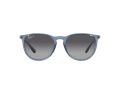 Ray-Ban Erika Sonnenbrille RB 4171 6592T3