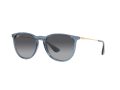 Ray-Ban Erika Sonnenbrille RB 4171 6592T3
