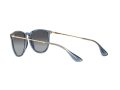 Ray-Ban Erika Sonnenbrille RB 4171 6592T3