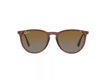 Ray-Ban Erika Sonnenbrille RB 4171 6593T5