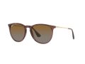 Ray-Ban Erika Sonnenbrille RB 4171 6593/T5