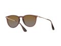 Ray-Ban Erika Sonnenbrille RB 4171 6593/T5