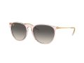 Ray-Ban Erika Sonnenbrille RB 4171 674211