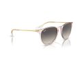 Ray-Ban Erika Sonnenbrille RB 4171 674211