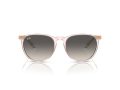 Ray-Ban Erika Sonnenbrille RB 4171 674211