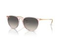 Ray-Ban Erika Sonnenbrille RB 4171 674211