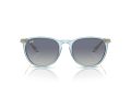 Ray-Ban Erika Sonnenbrille RB 0RB4171 67434L