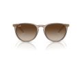 Ray-Ban Erika Sonnenbrille RB 4171 674413