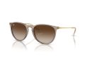 Ray-Ban Erika Sonnenbrille RB 4171 674413