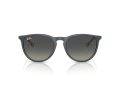 Ray-Ban Erika Sonnenbrille RB 4171 681311