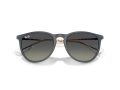 Ray-Ban Erika Sonnenbrille RB 4171 681311