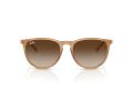 Ray-Ban Erika Sonnenbrille RB 4171 681413