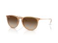 Ray-Ban Erika Sonnenbrille RB 4171 681413