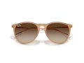 Ray-Ban Erika Sonnenbrille RB 4171 681413