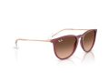 Ray-Ban Erika Sonnenbrille RB 4171 6815A5