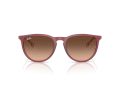Ray-Ban Erika Sonnenbrille RB 4171 6815A5