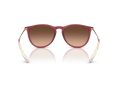 Ray-Ban Erika Sonnenbrille RB 4171 6815A5