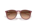 Ray-Ban Erika Sonnenbrille RB 4171 6815A5