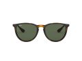 Ray-Ban Erika Sonnenbrille RB 4171 710/71