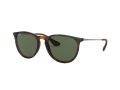 Ray-Ban Erika Sonnenbrille RB 4171 710/71