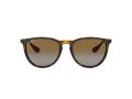 Ray-Ban Erika Sonnenbrille 4171 710/T5