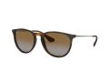 Ray-Ban Erika Sonnenbrille 4171 710/T5