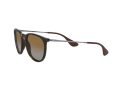 Ray-Ban Erika Sonnenbrille 4171 710/T5